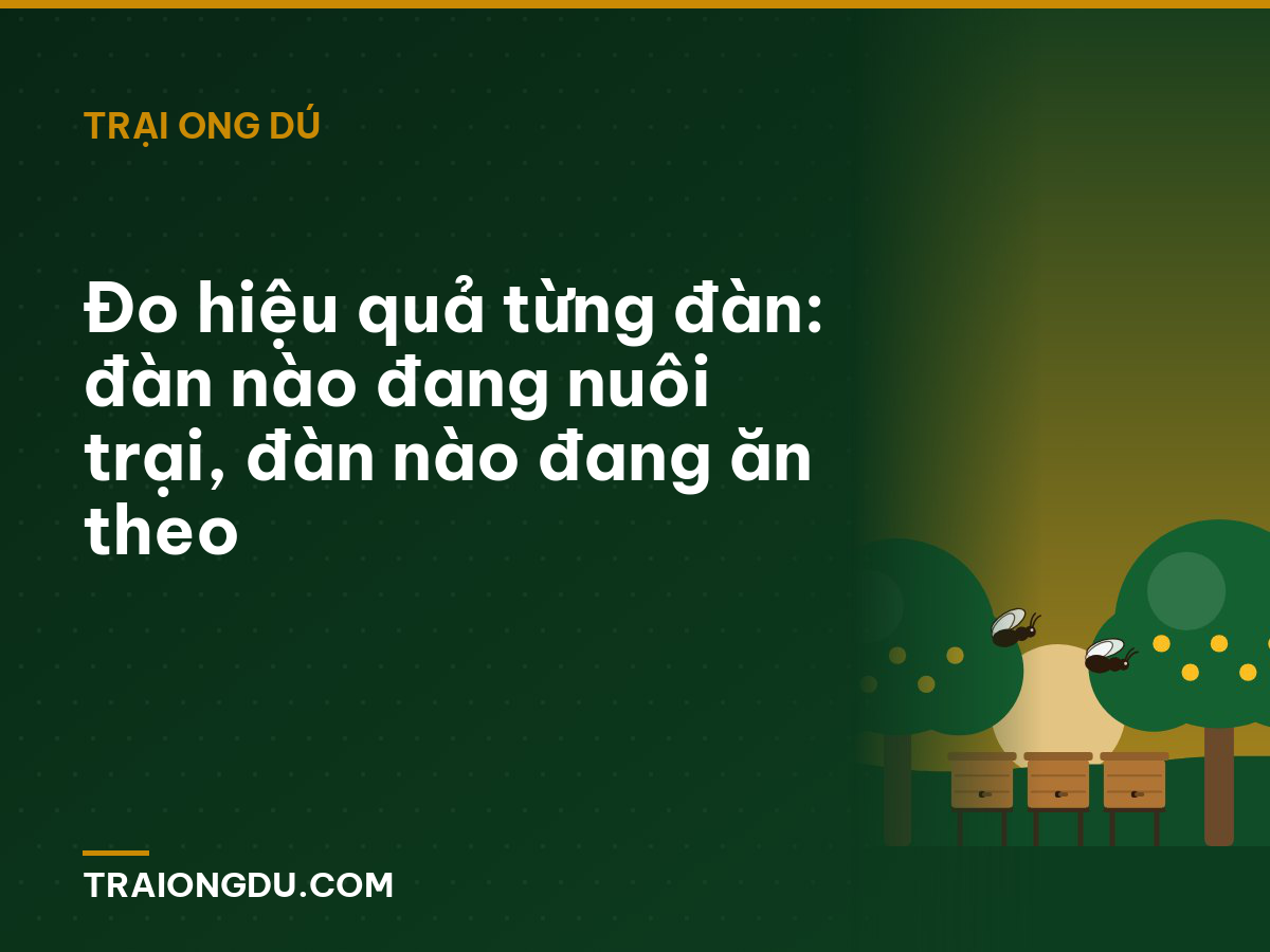 Đo hiệu quả từng đàn: đàn nào đang nuôi trại, đàn nào đang ăn theo