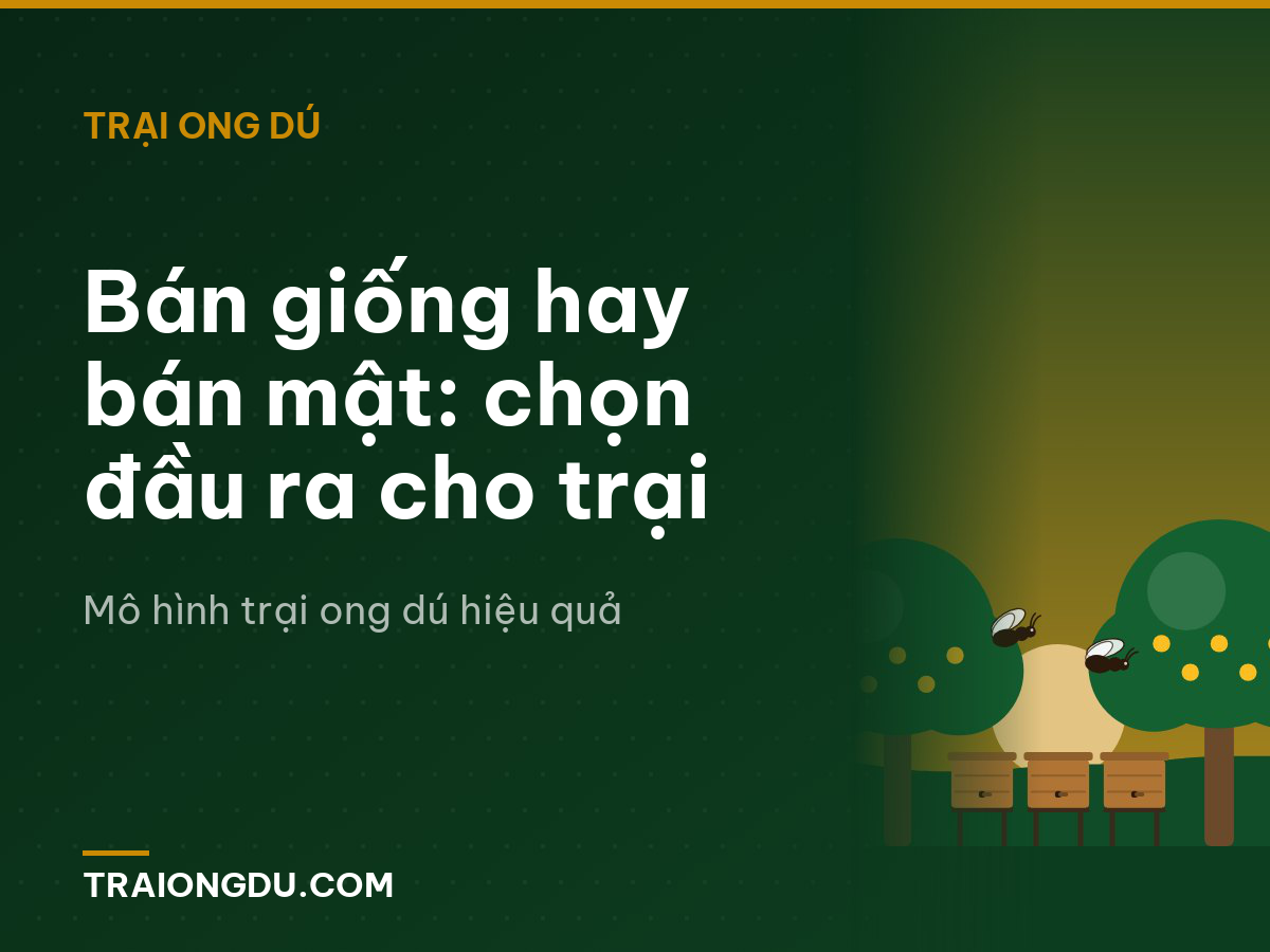 Bán giống hay bán mật: chọn đầu ra cho trại