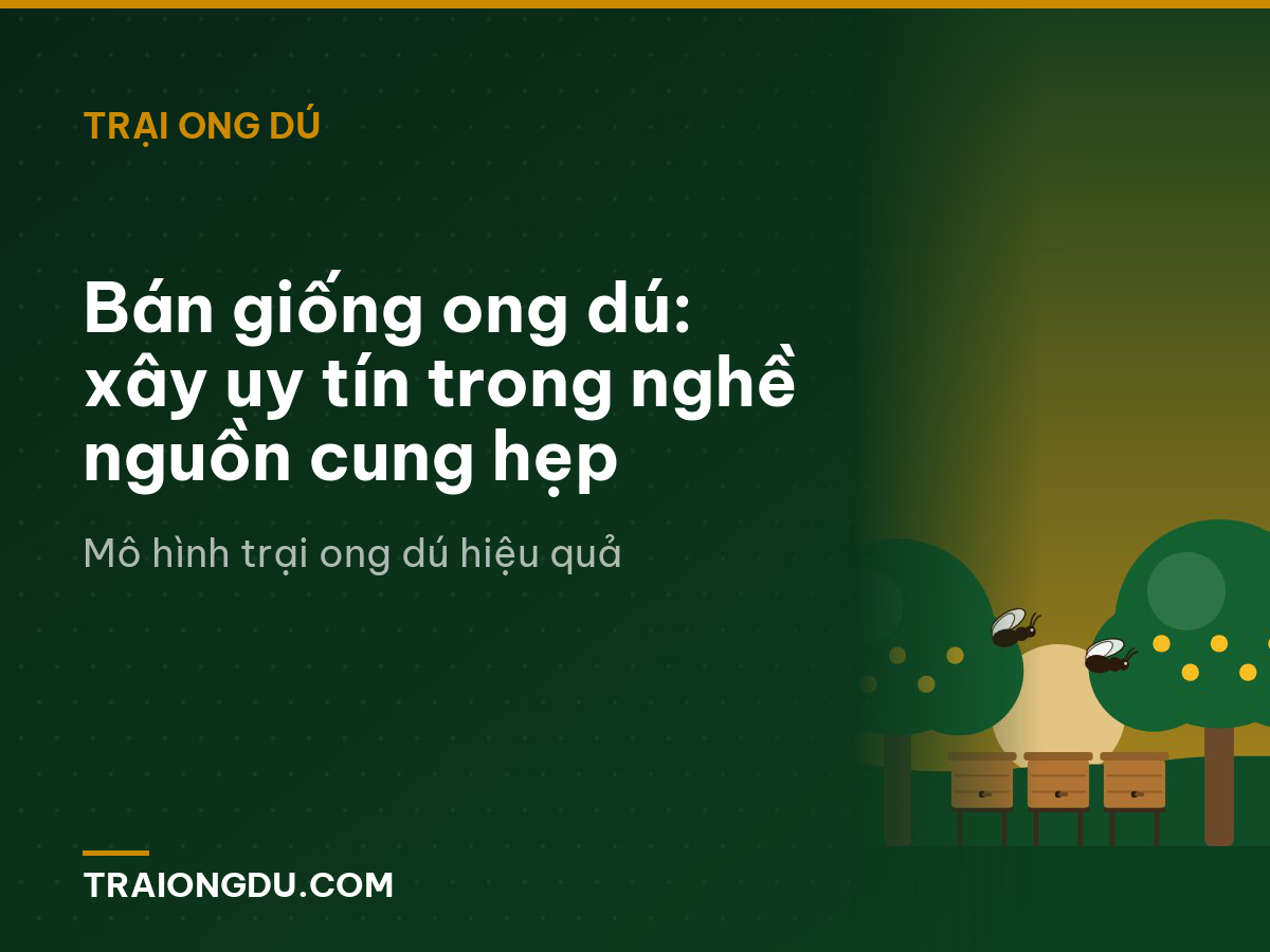 Bán giống ong dú: xây uy tín trong nghề nguồn cung hẹp
