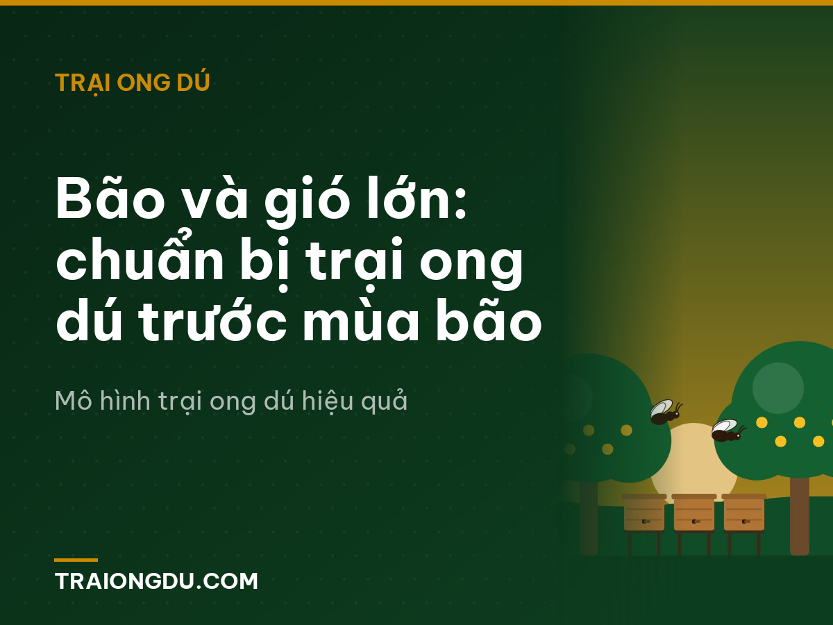 Bão và gió lớn: chuẩn bị trại ong dú trước mùa bão