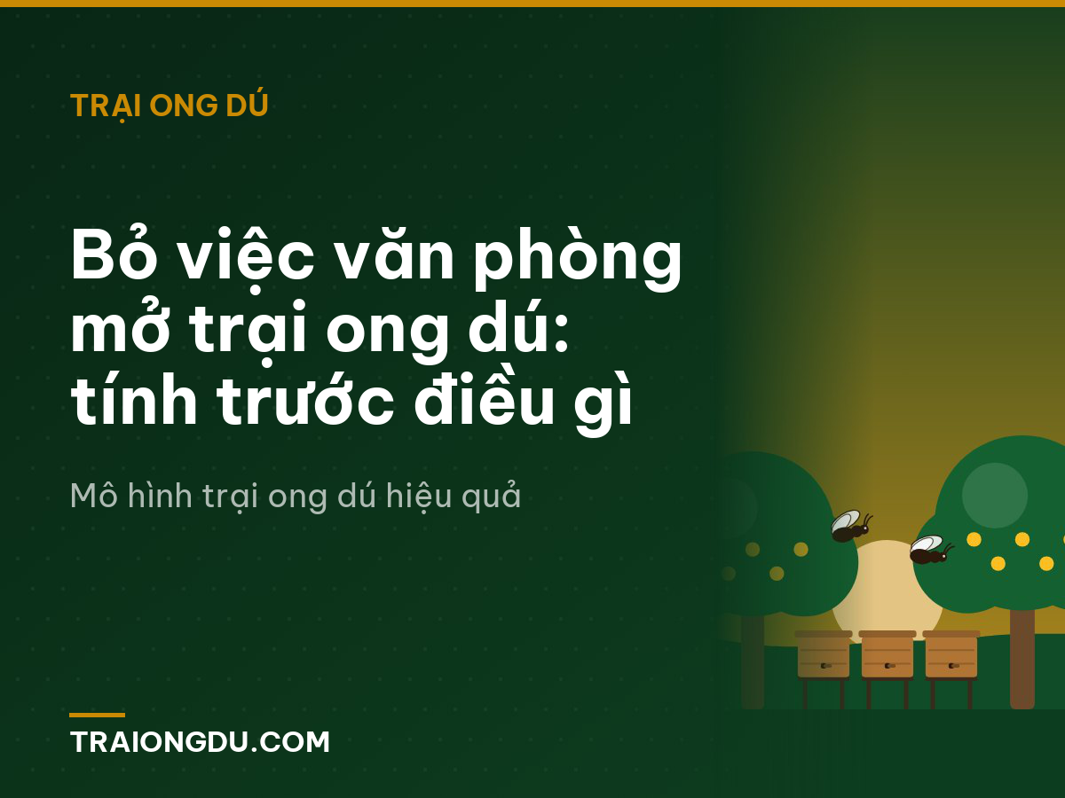 Bỏ việc văn phòng mở trại ong dú: tính trước điều gì