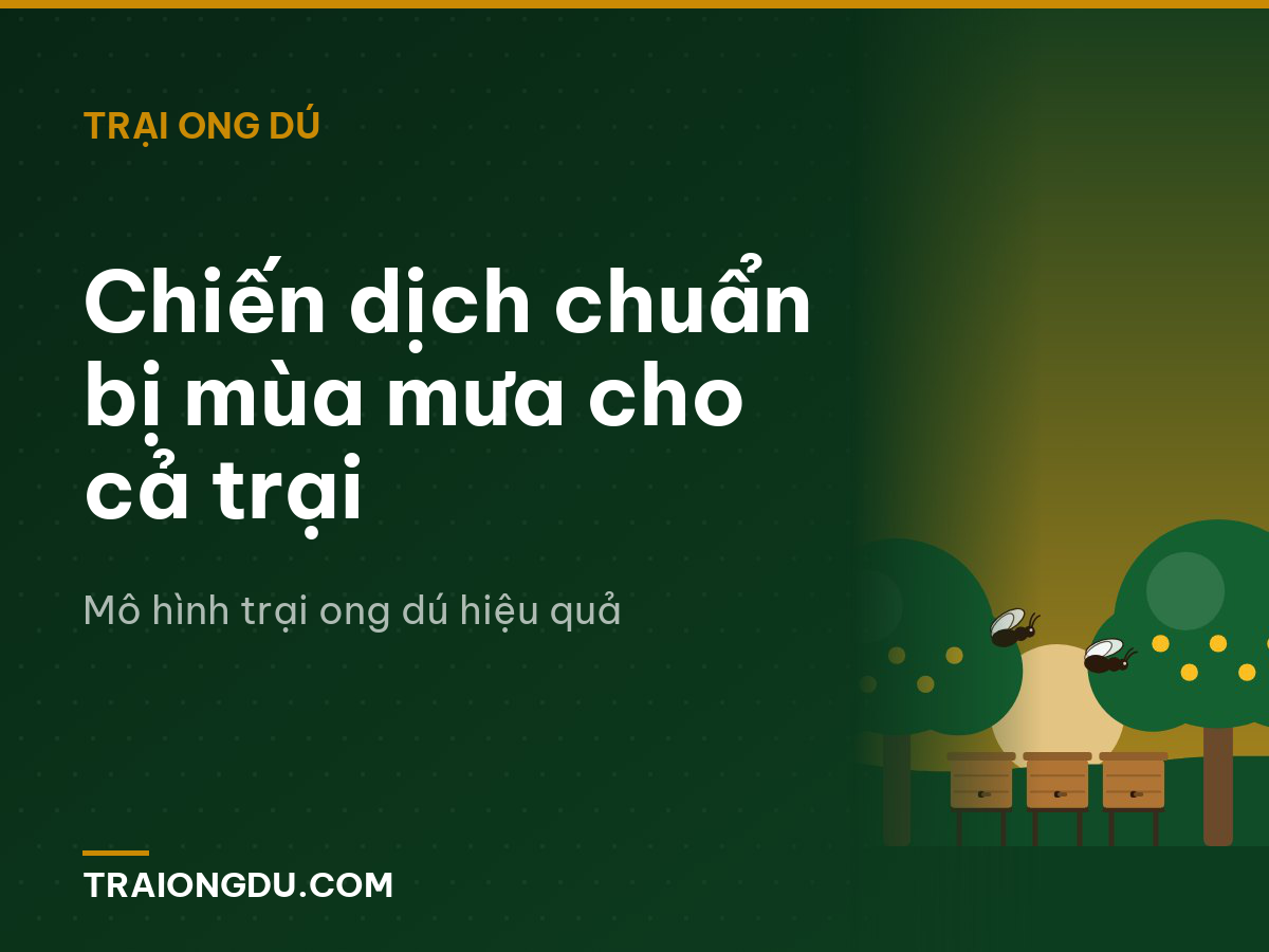 Chiến dịch chuẩn bị mùa mưa cho cả trại