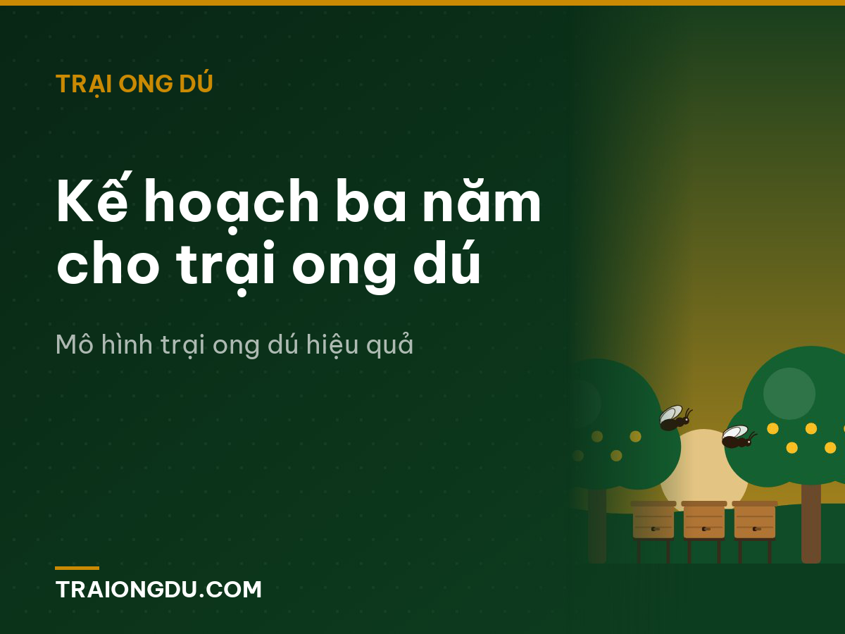 Kế hoạch ba năm cho trại ong dú
