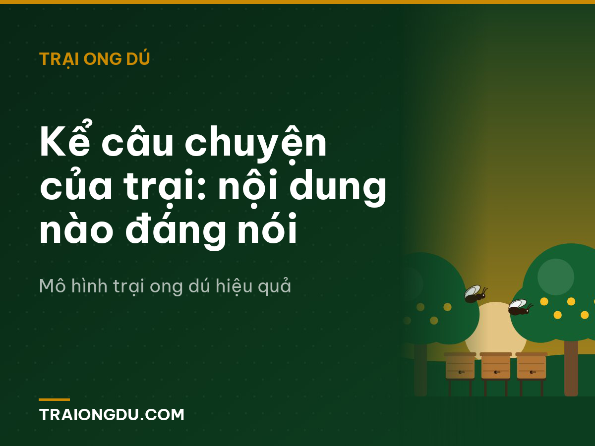 Kể câu chuyện của trại: nội dung nào đáng nói
