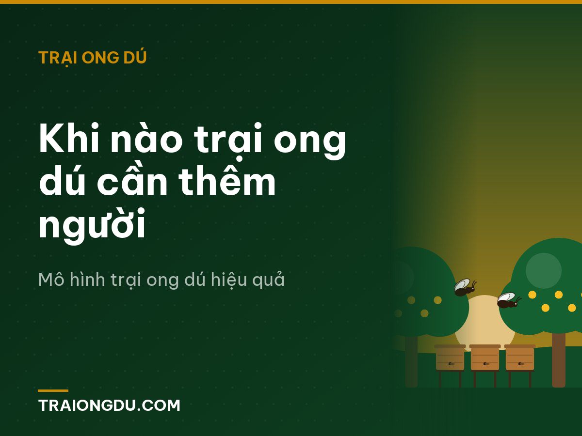 Khi nào trại ong dú cần thêm người