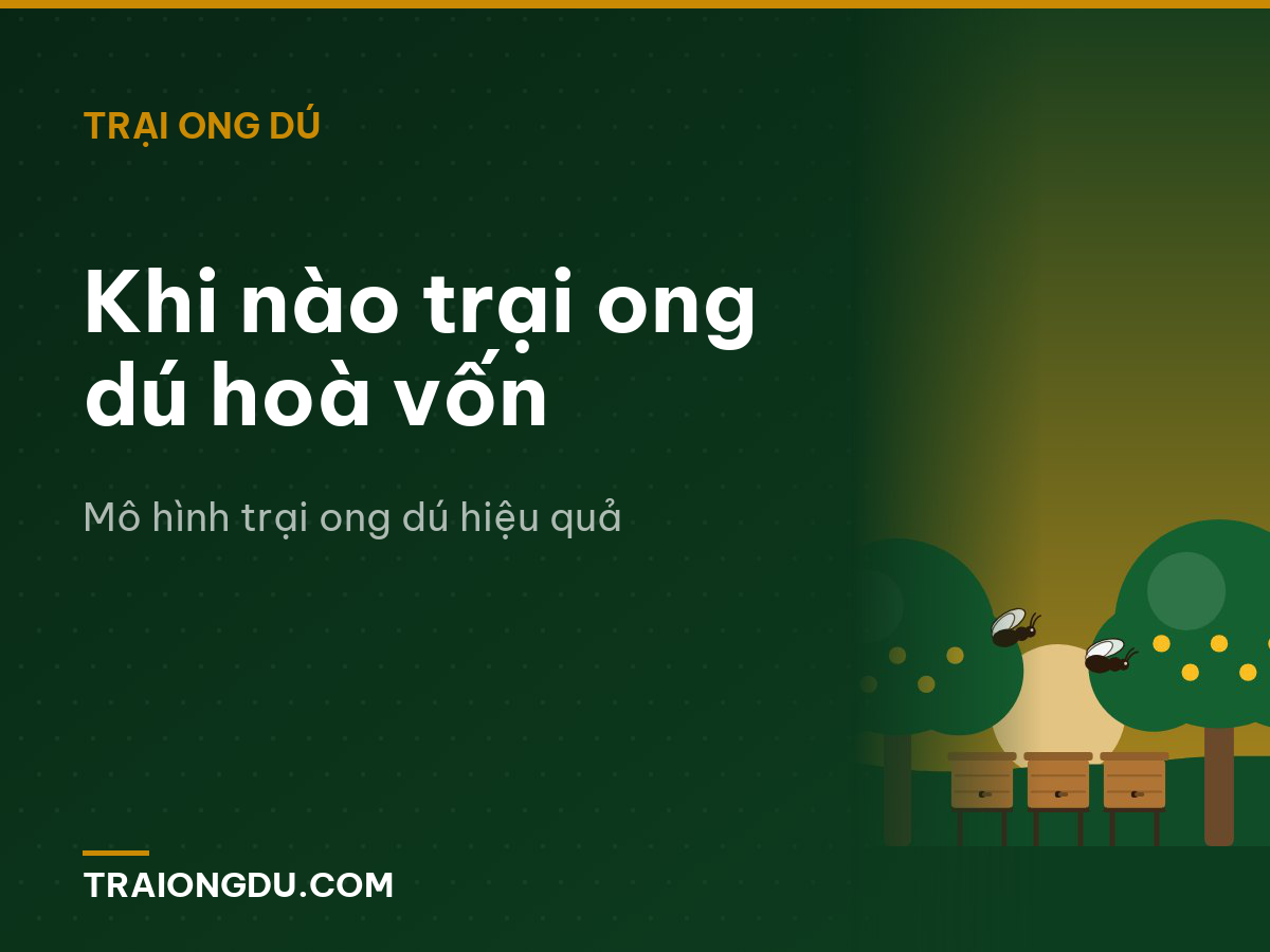 Khi nào trại ong dú hoà vốn