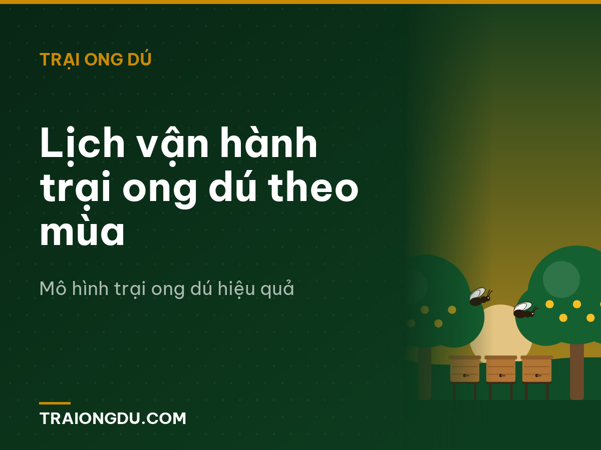 Lịch vận hành trại ong dú theo mùa