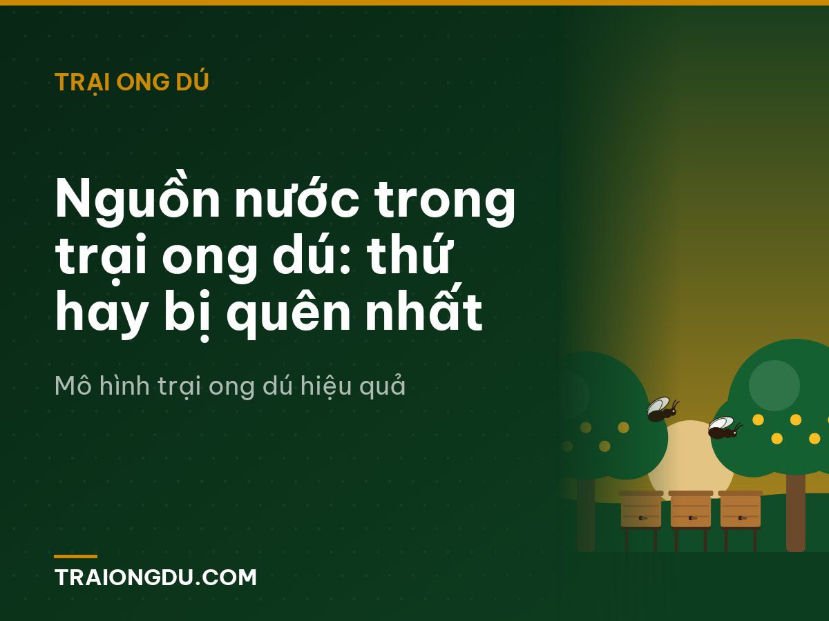 Nguồn nước trong trại ong dú: thứ hay bị quên nhất