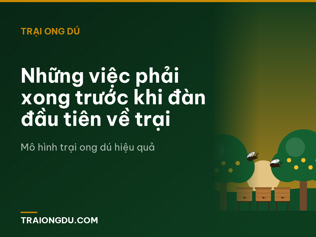 Những việc phải xong trước khi đàn đầu tiên về trại