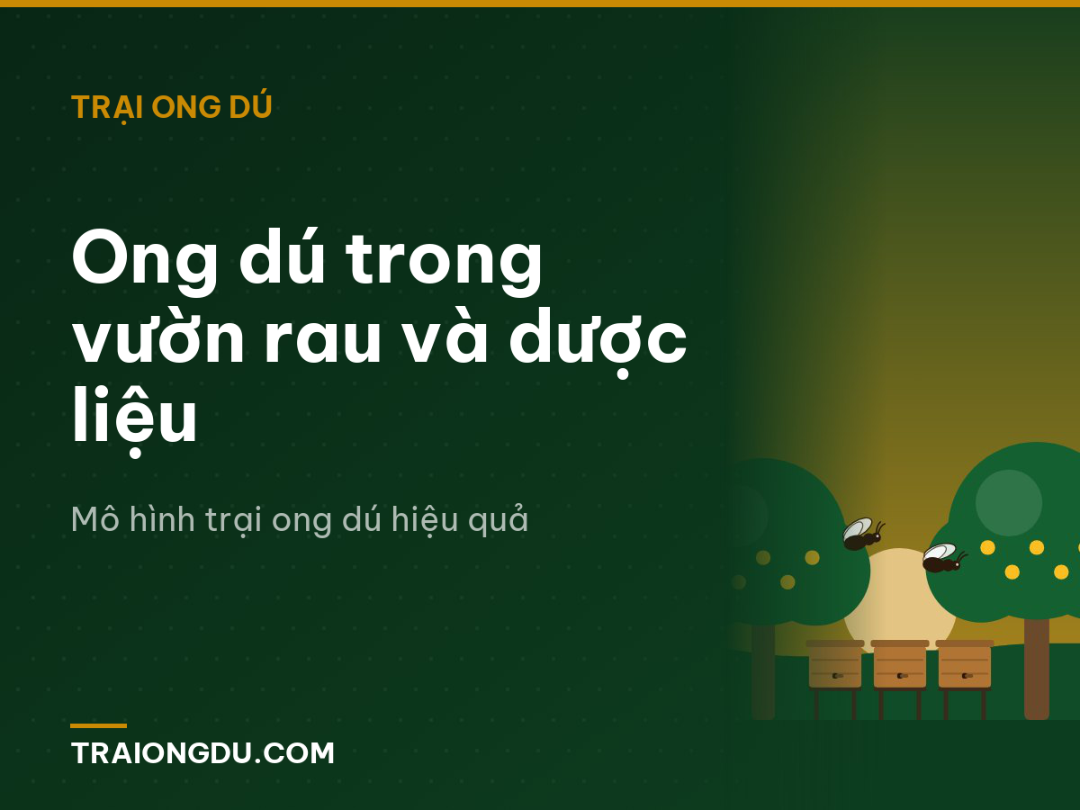 Ong dú trong vườn rau và dược liệu