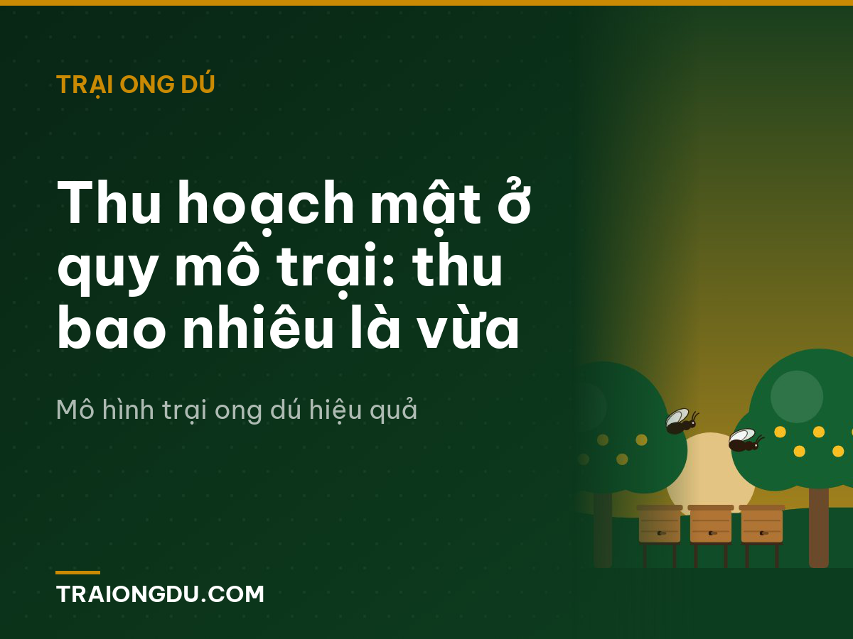Thu hoạch mật ở quy mô trại: thu bao nhiêu là vừa