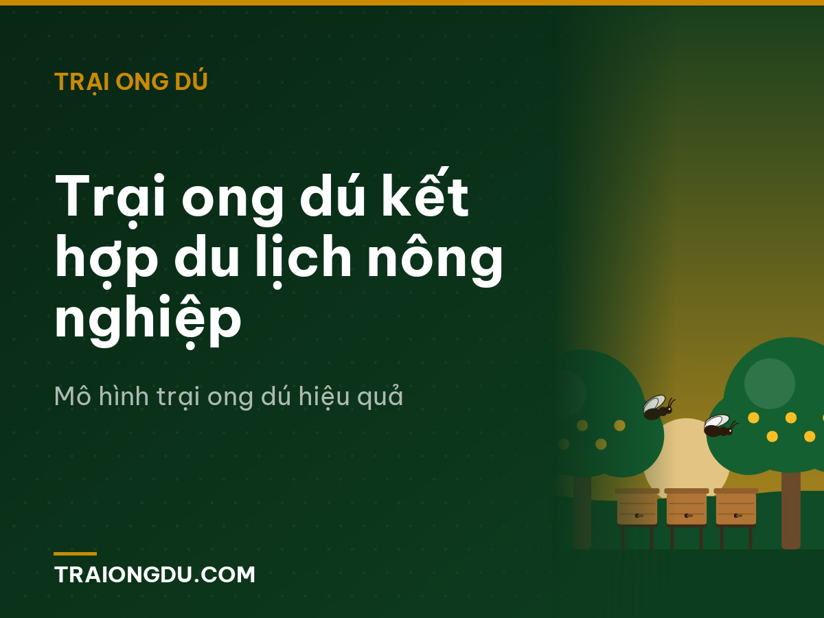 Trại ong dú kết hợp du lịch nông nghiệp