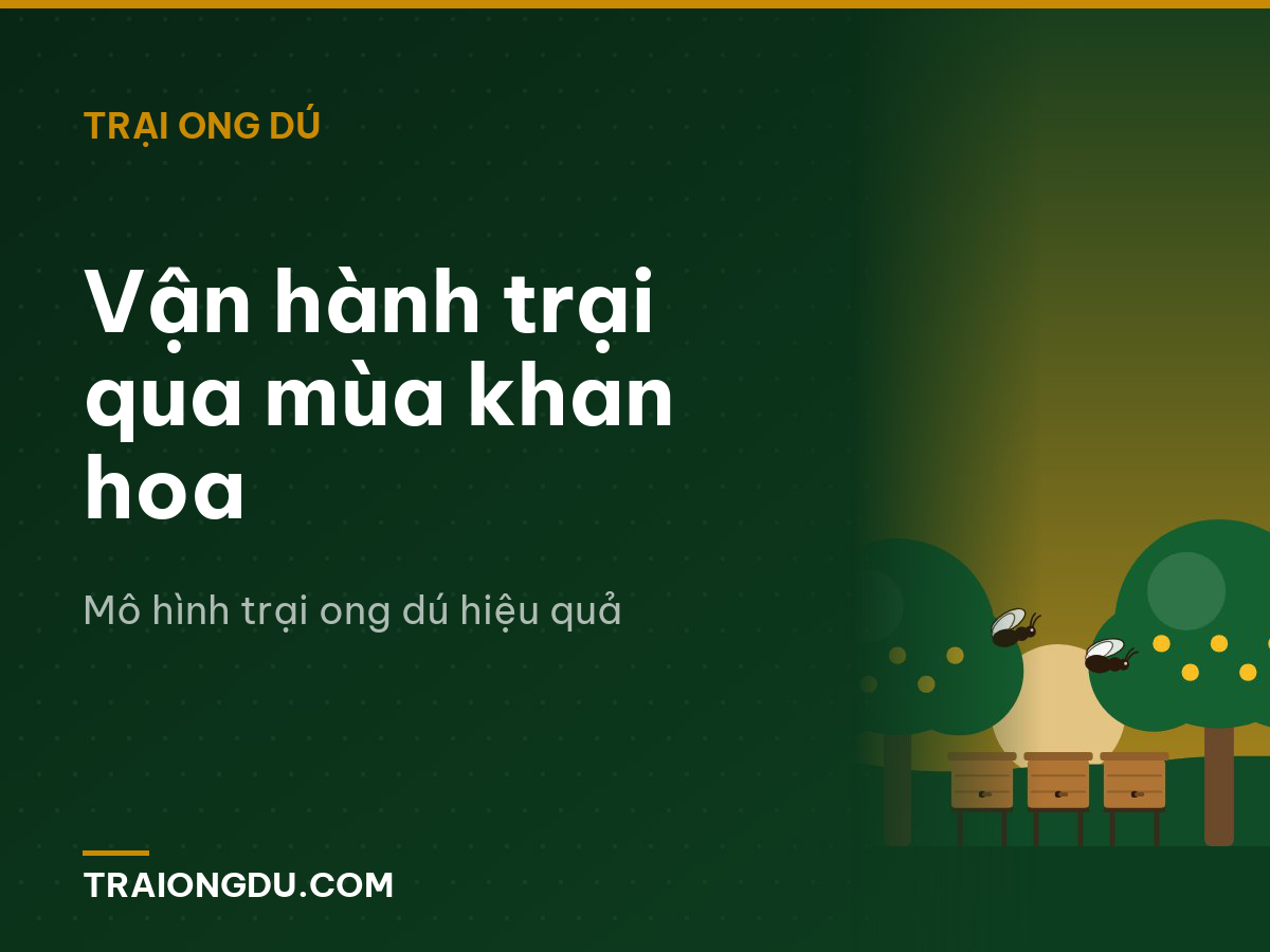 Vận hành trại qua mùa khan hoa