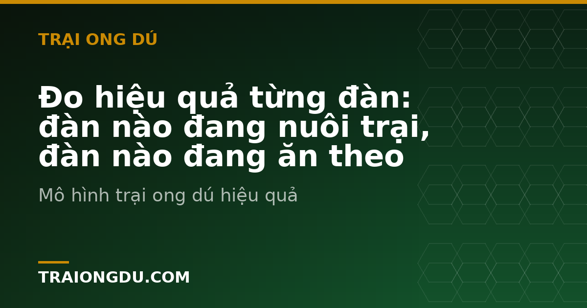 Đo hiệu quả từng đàn: đàn nào đang nuôi trại, đàn nào đang ăn theo