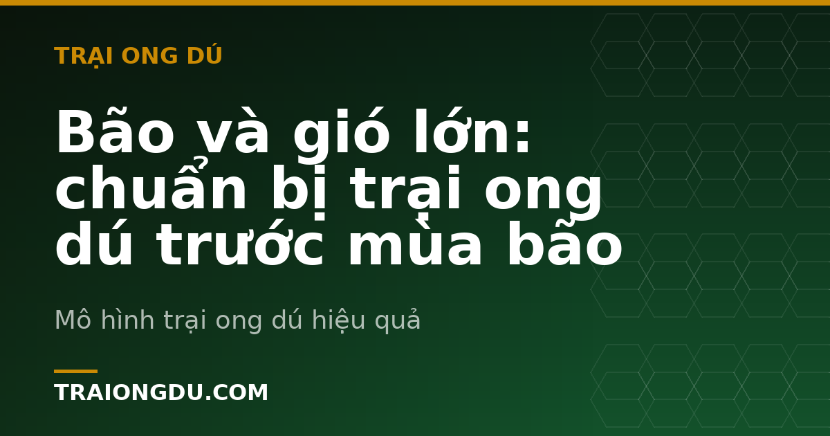 Bão và gió lớn: chuẩn bị trại ong dú trước mùa bão