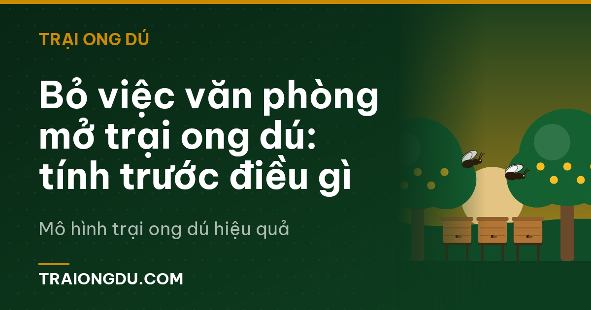 Bỏ việc văn phòng mở trại ong dú: tính trước điều gì