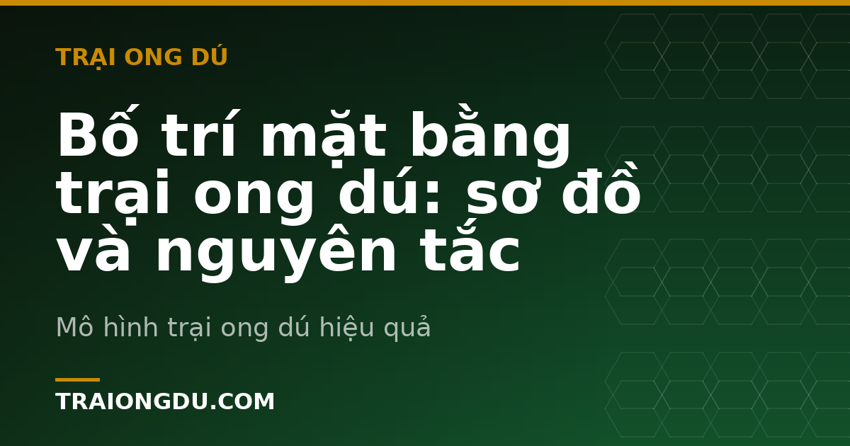 Bố trí mặt bằng trại ong dú: sơ đồ và nguyên tắc