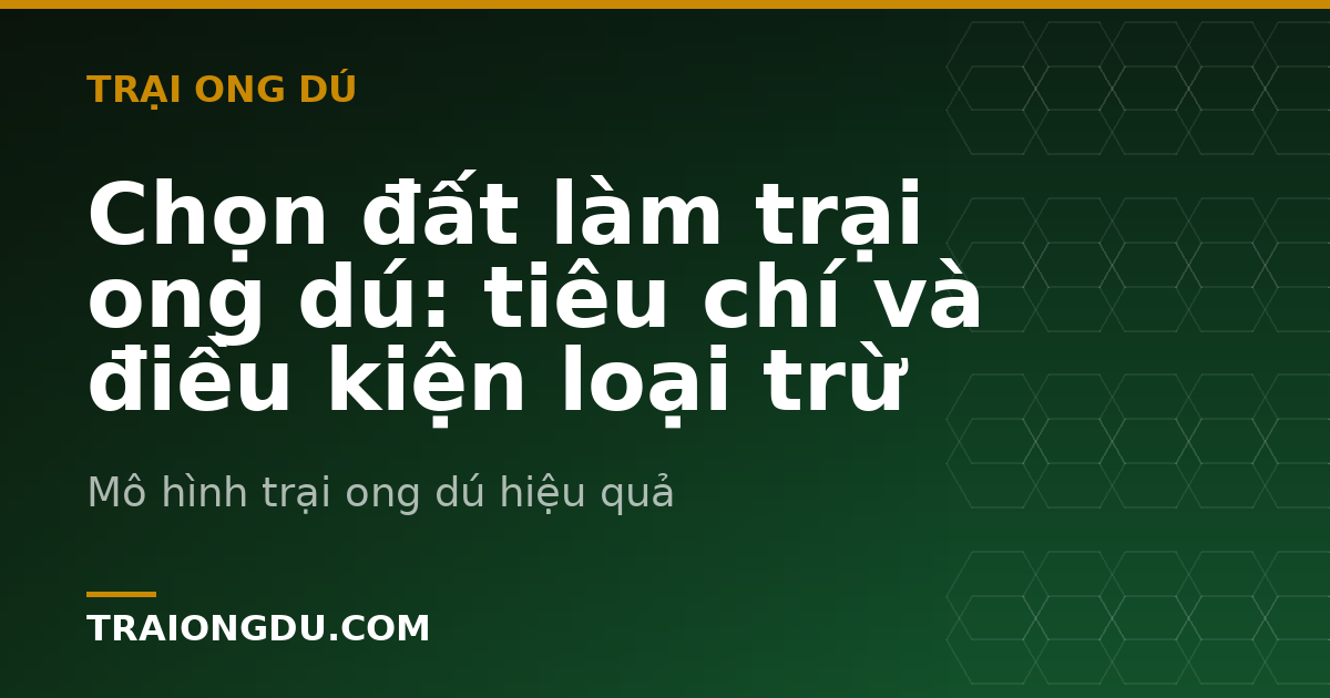 Chọn đất làm trại ong dú: tiêu chí và điều kiện loại trừ