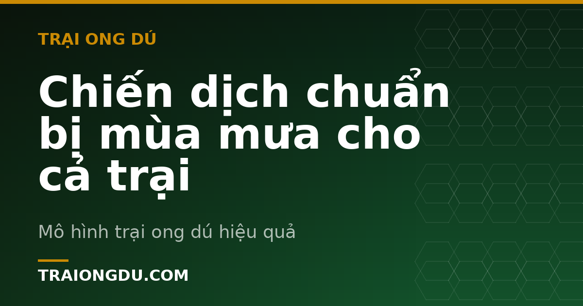 Chiến dịch chuẩn bị mùa mưa cho cả trại