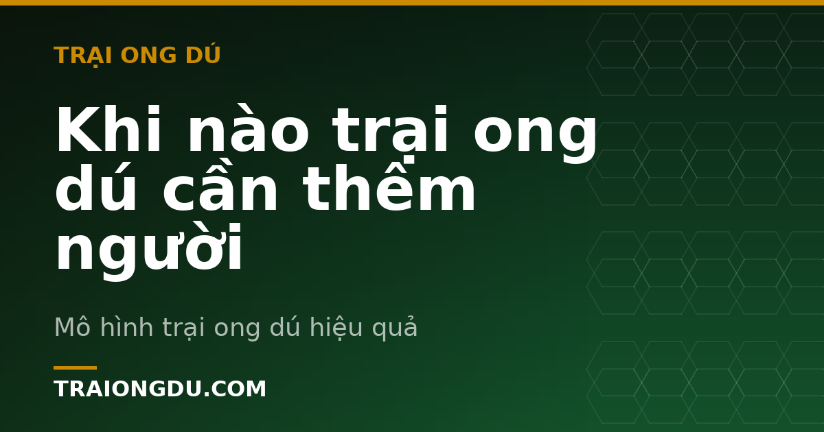 Khi nào trại ong dú cần thêm người