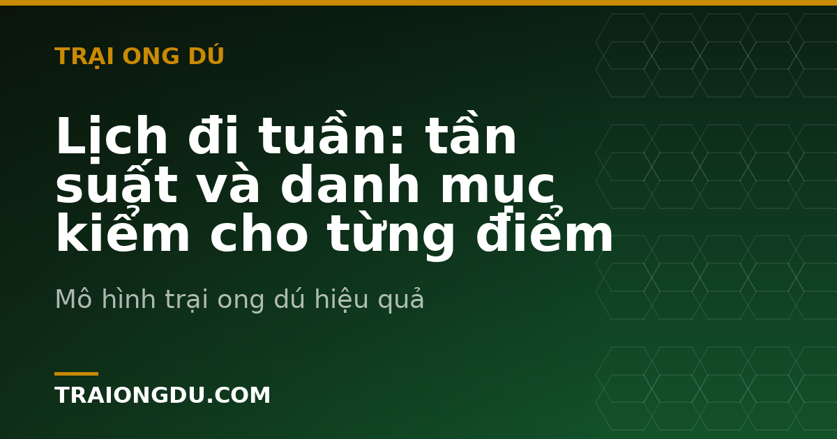 Lịch đi tuần: tần suất và danh mục kiểm cho từng điểm