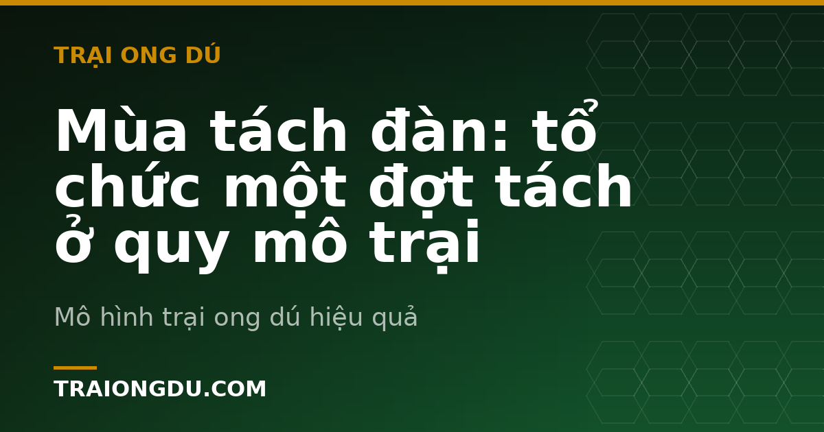 Mùa tách đàn: tổ chức một đợt tách ở quy mô trại