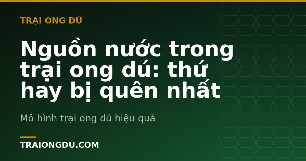 Nguồn nước trong trại ong dú: thứ hay bị quên nhất