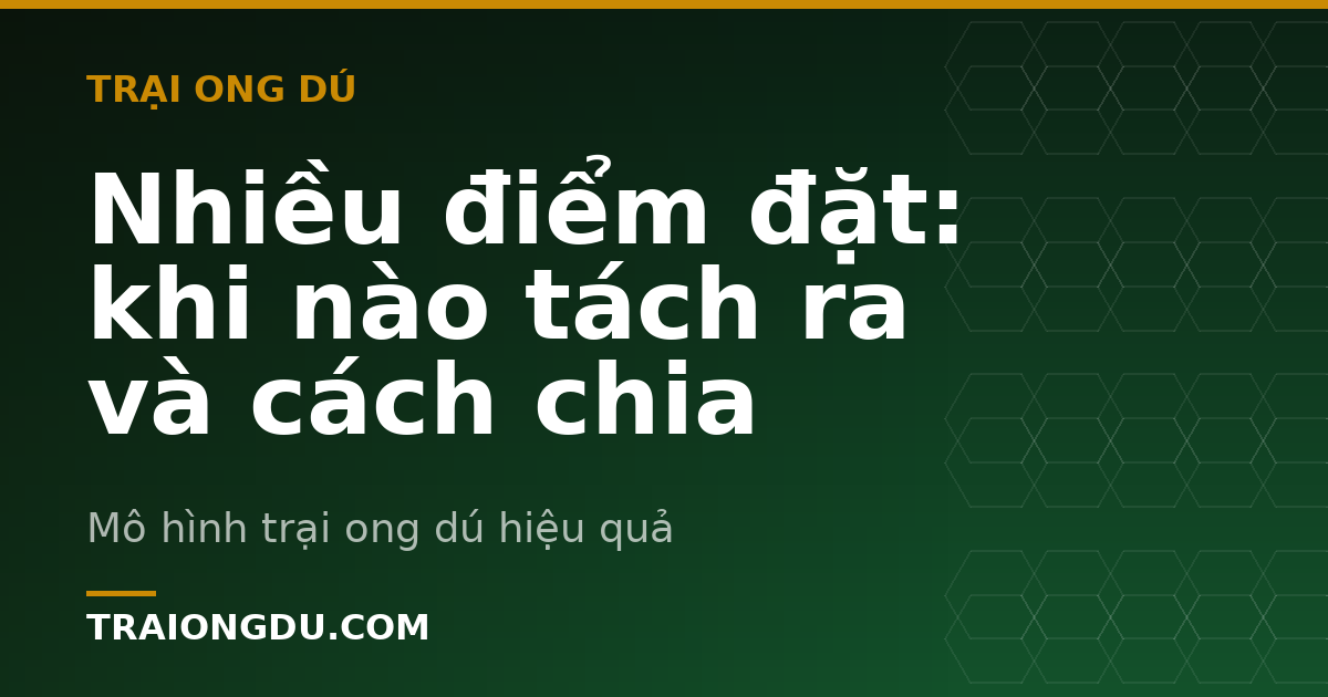Nhiều điểm đặt: khi nào tách ra và cách chia