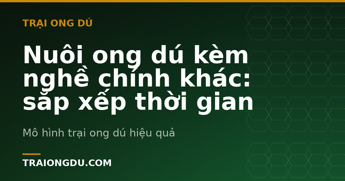 Nuôi ong dú kèm nghề chính khác: sắp xếp thời gian