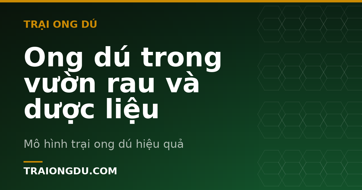 Ong dú trong vườn rau và dược liệu