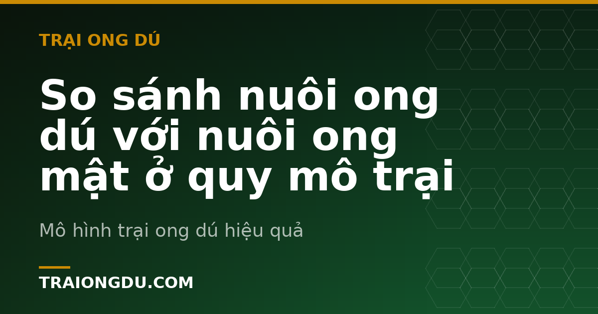 So sánh nuôi ong dú với nuôi ong mật ở quy mô trại