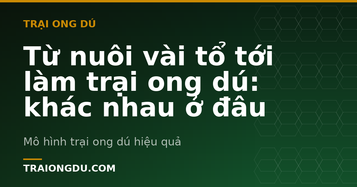 Từ nuôi vài tổ tới làm trại ong dú: khác nhau ở đâu