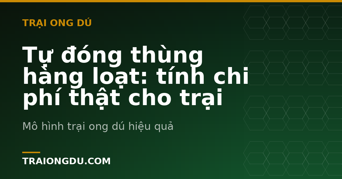 Tự đóng thùng hàng loạt: tính chi phí thật cho trại