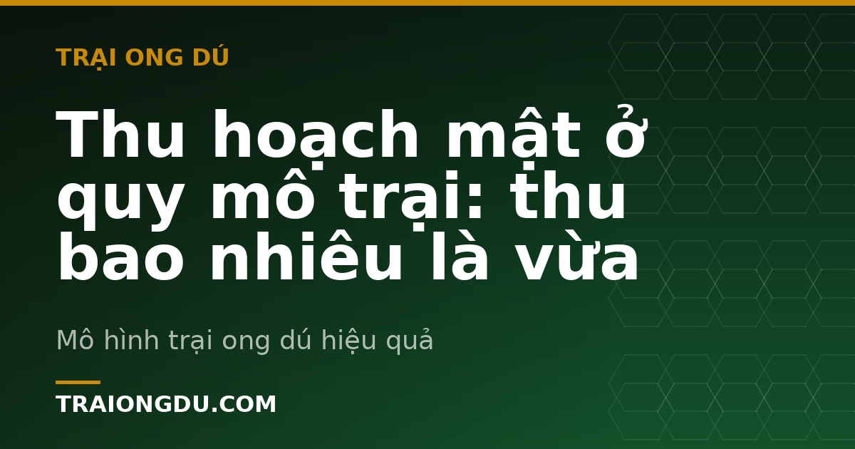 Thu hoạch mật ở quy mô trại: thu bao nhiêu là vừa