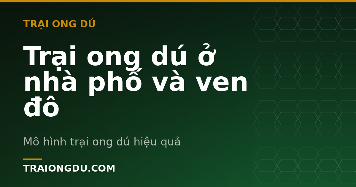 Trại ong dú ở nhà phố và ven đô