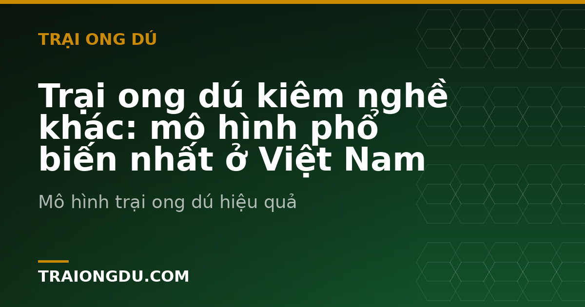 Trại ong dú kiêm nghề khác: mô hình phổ biến nhất ở Việt Nam