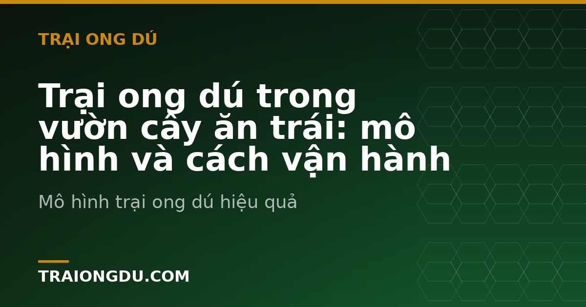Trại ong dú trong vườn cây ăn trái: mô hình và cách vận hành