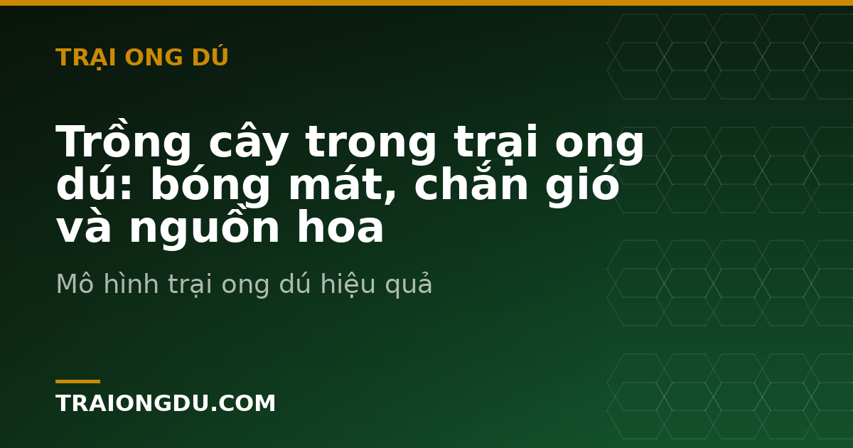 Trồng cây trong trại ong dú: bóng mát, chắn gió và nguồn hoa